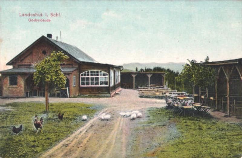 195795.jpg - CREATOR: gd-jpeg v1.0 (using IJG JPEG v62), quality = 80